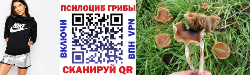 Псилоцибиновые грибы MAGIC MUSHROOMS  Славянск-на-Кубани 