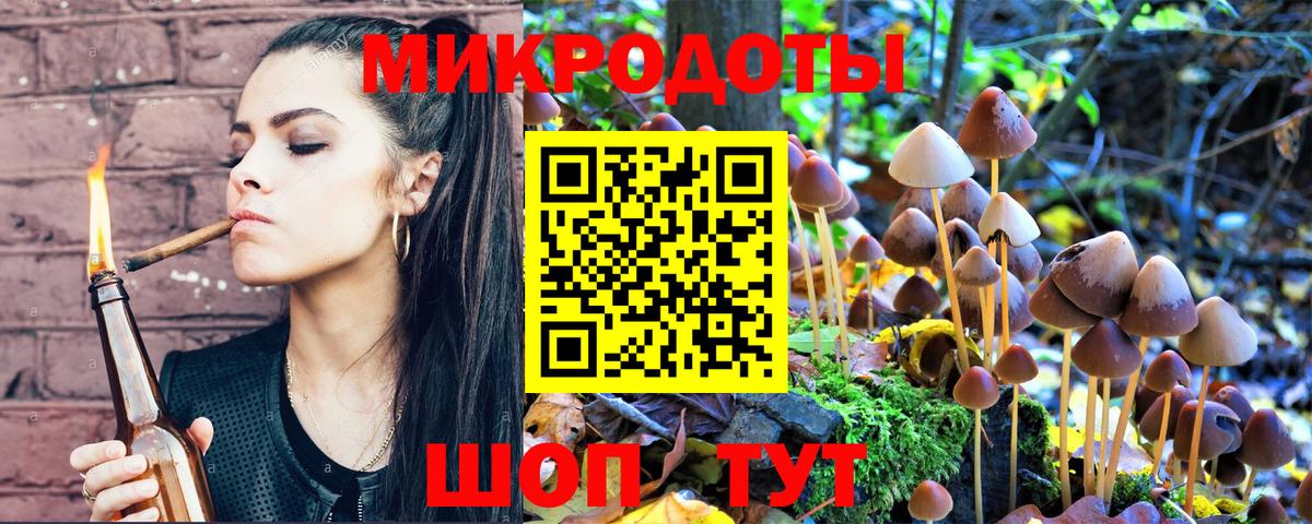Псилоцибиновые грибы GOLDEN TEACHER  где продают наркотики  Славянск-на-Кубани  Вход с VPN 