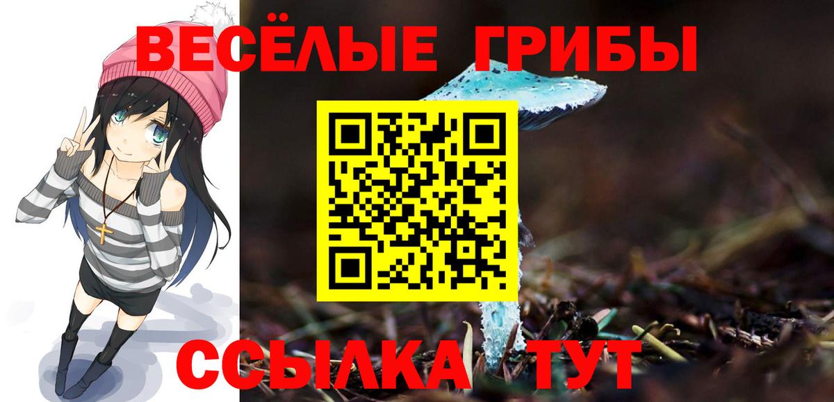 Галлюциногенные грибы прущие грибы Славянск-на-Кубани